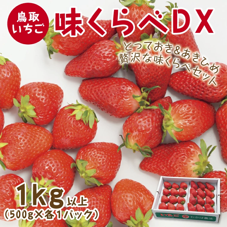 鳥取いちご｜味くらべ1kg【章姫・とっておき】DX とみハウス ｜鳥取の