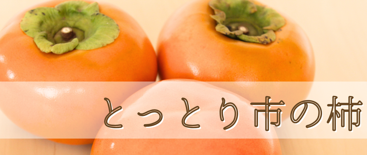 鳥取特産柿はこちら
