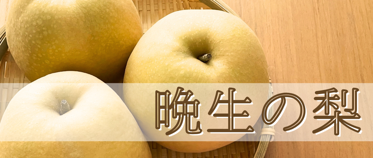 鳥取特産晩生の梨はこちら