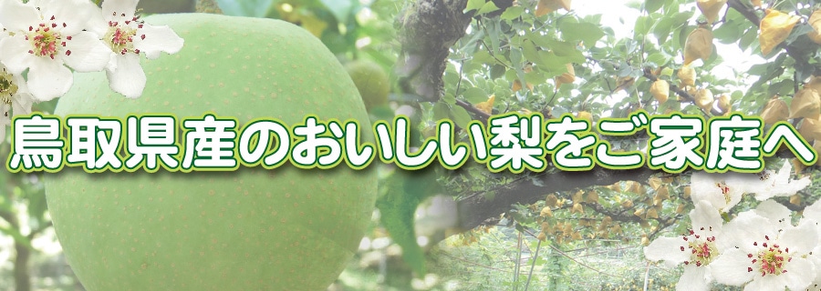 2025年度終了】王秋梨 ご家庭用 10kg【やぶやフルーツガーデン