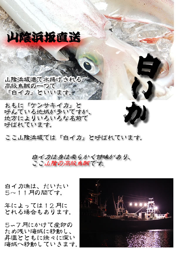 山米鮮魚