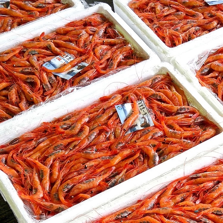山米鮮魚