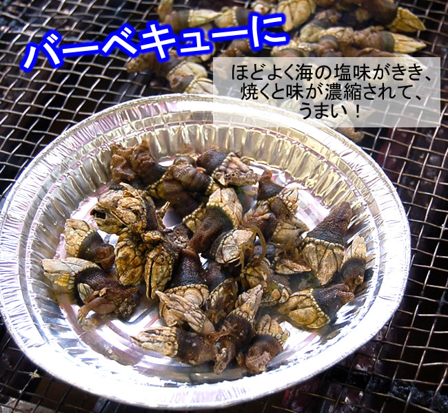 山米鮮魚