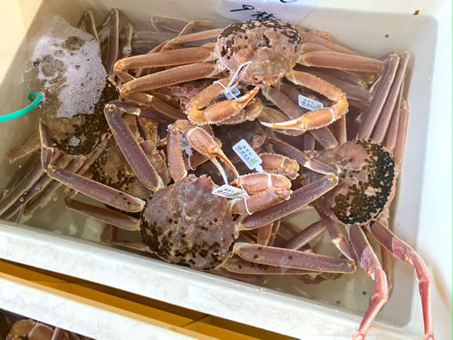 山米鮮魚