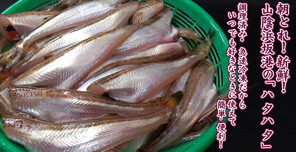 山米鮮魚