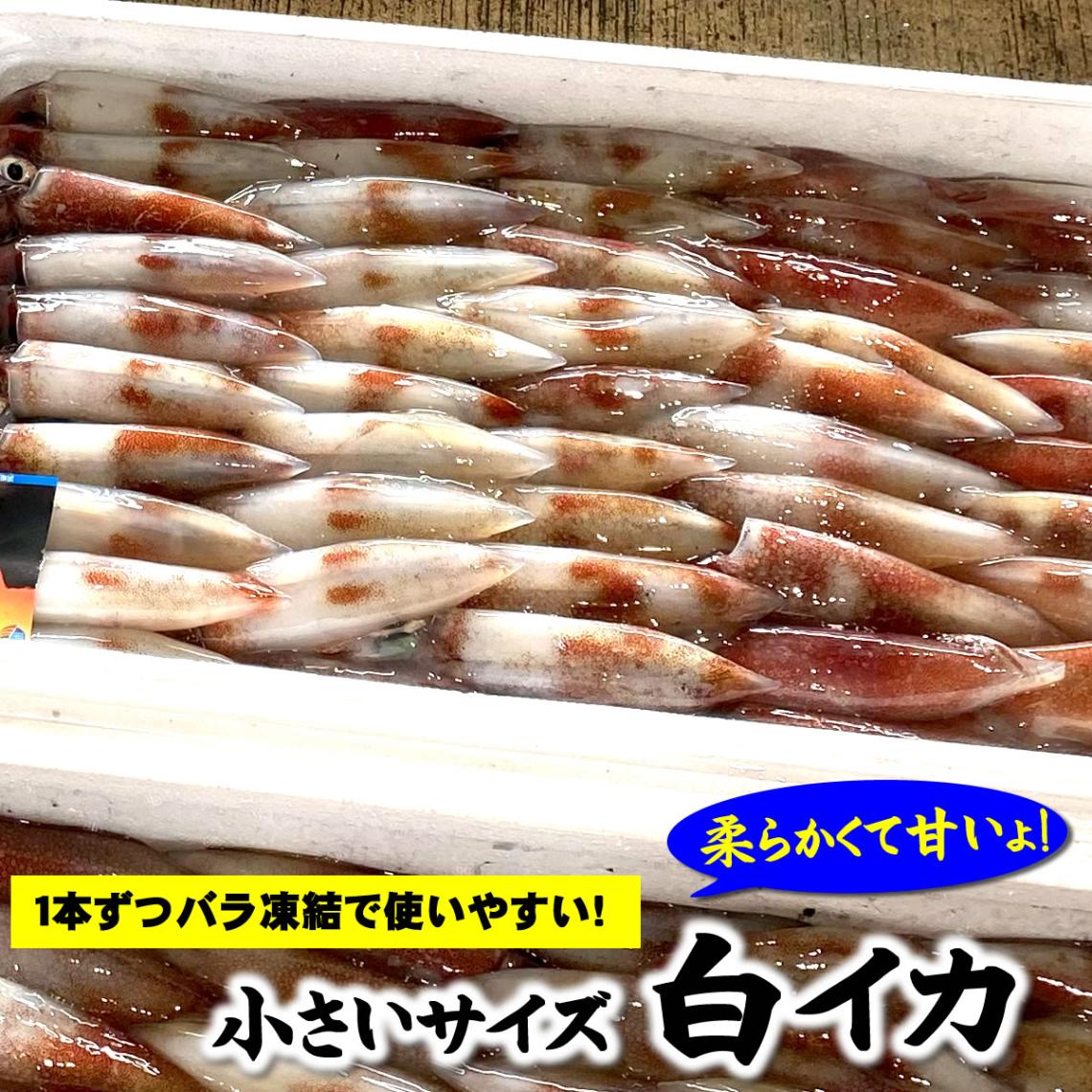 山米鮮魚
