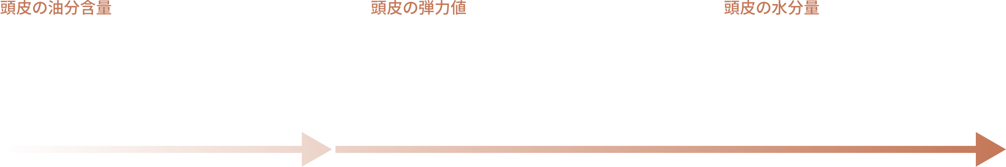 使用後14日 頭皮の油分含量-15.75%、使用後28日 頭皮の弾力値+19.12% 頭皮の水分量+21.19%