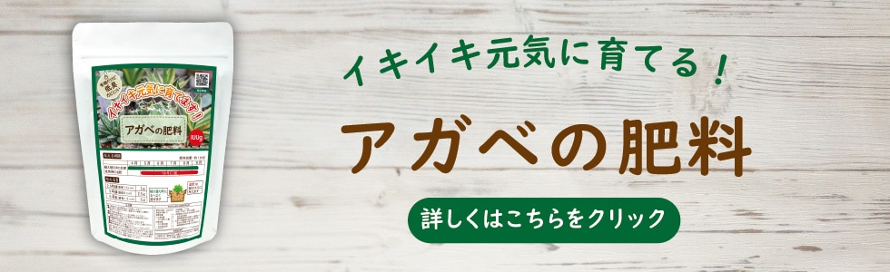 �����٤����� ����������������