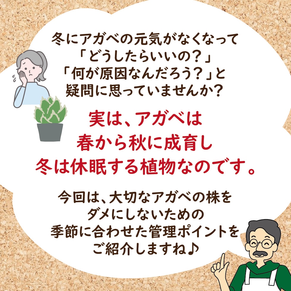 ������ �ߤδ��������