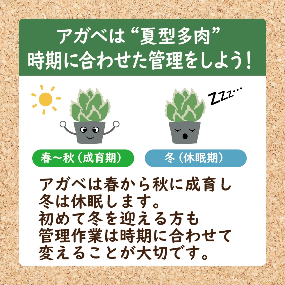 �����٤ϲƷ�¿��