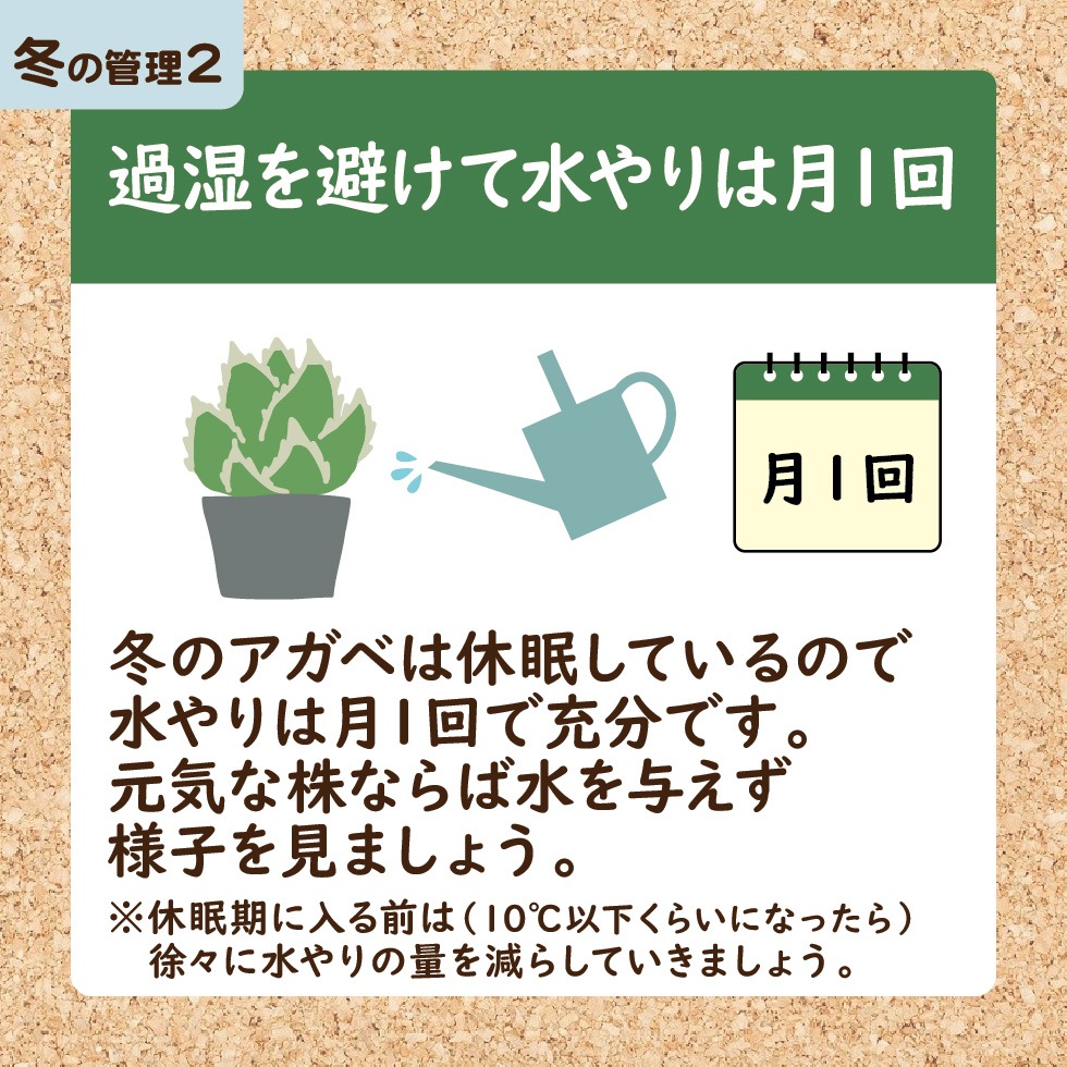 ������ �ߤο���Ϸ�1��