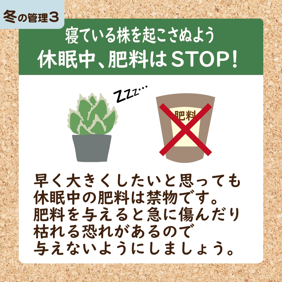 ������ �ߤ������϶�ʪ