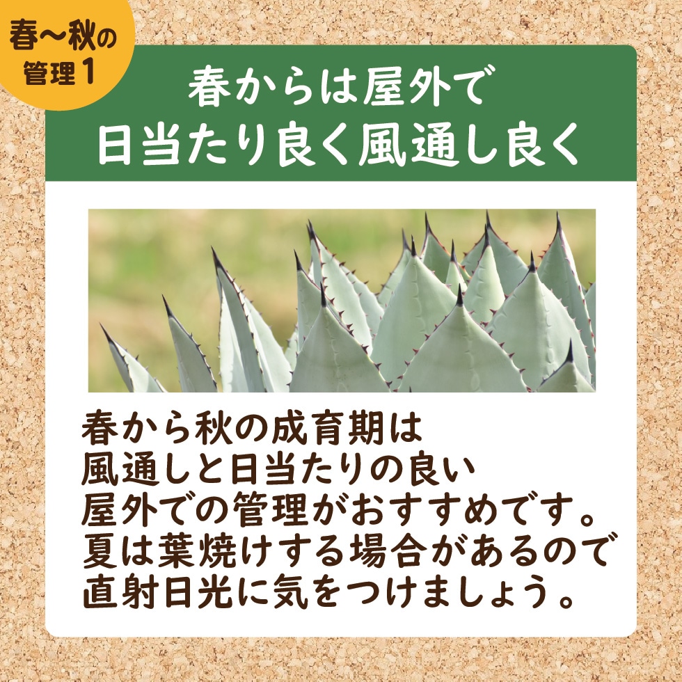 ������ �դ�������������ɤ����̤��ɤ�