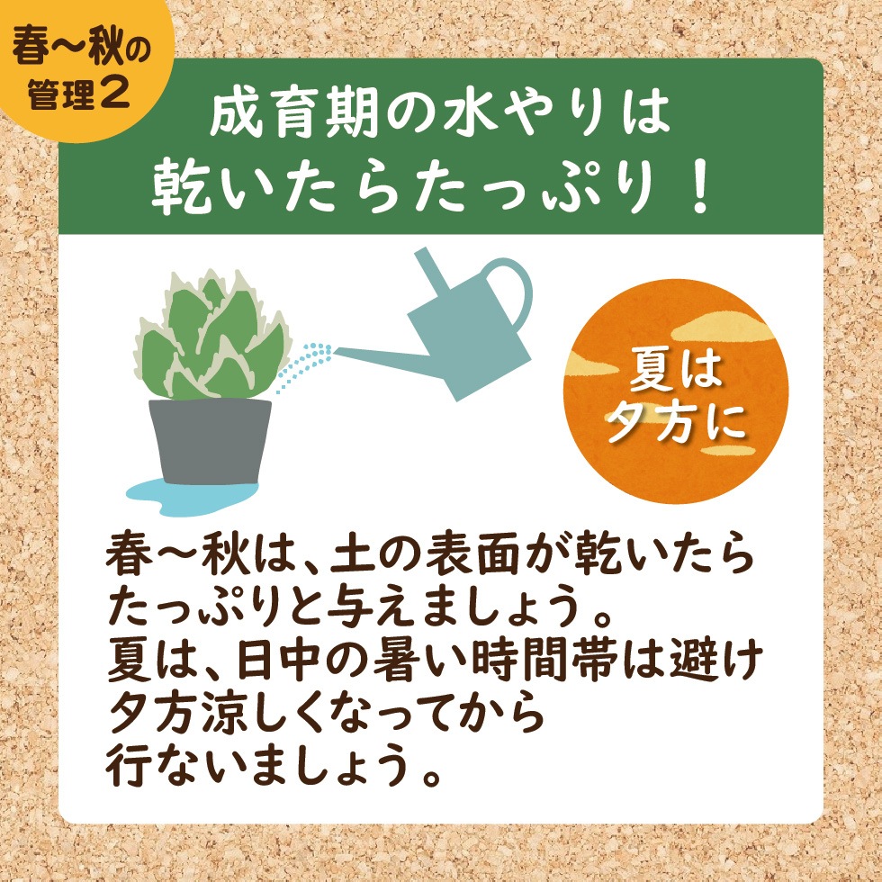 ������ ������ο���ϴ������餿�äפ�