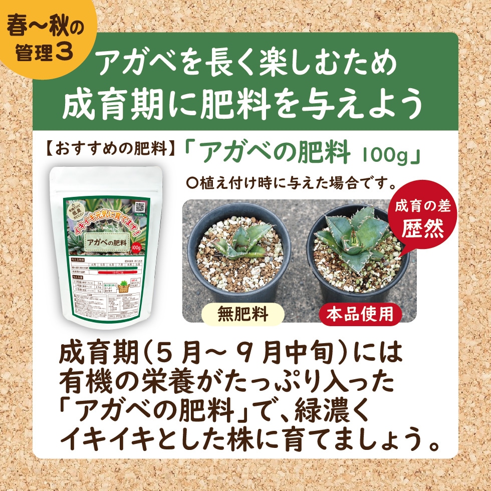 ������ �������������Ϳ����