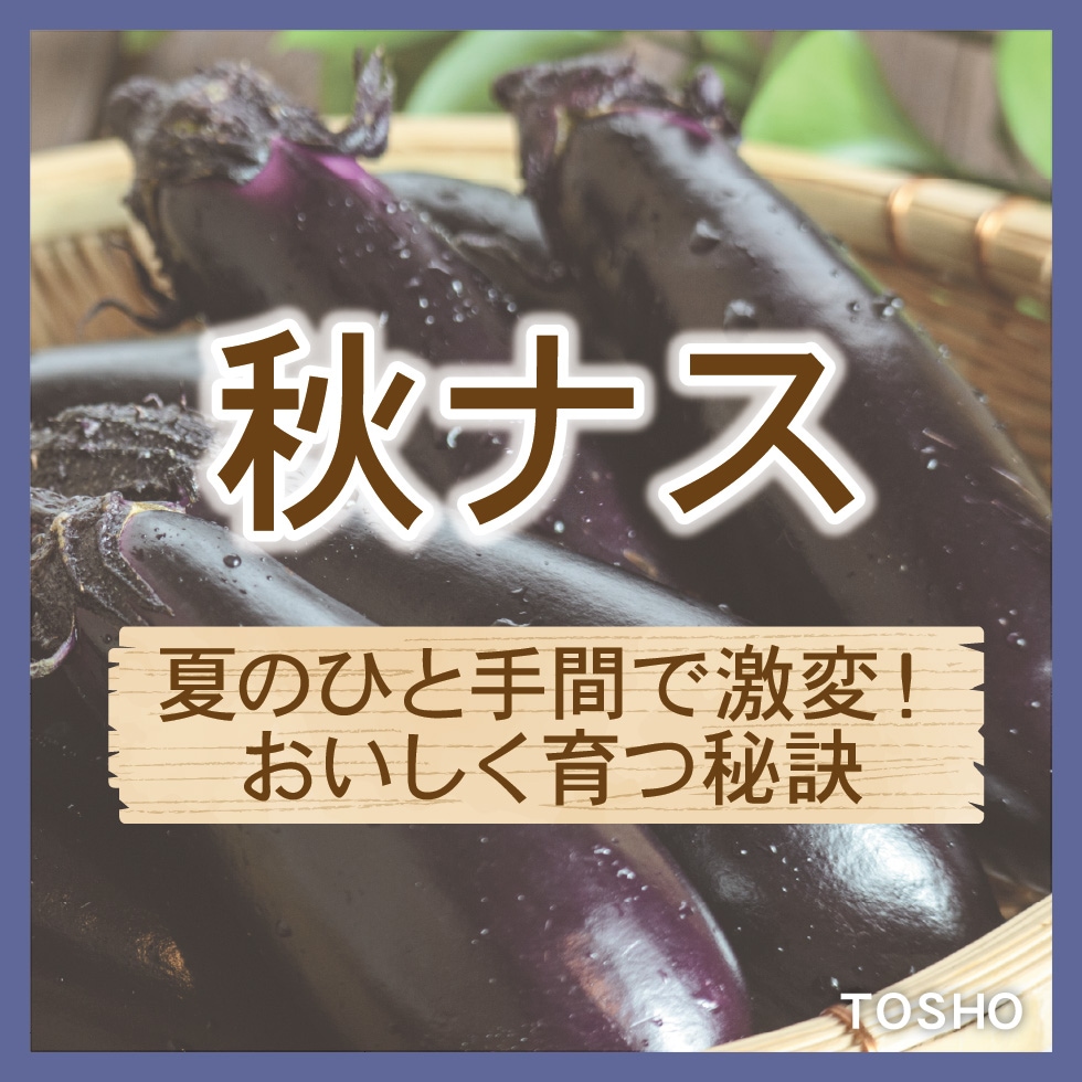 ���ʥ� �Ƥδ�����ˡ