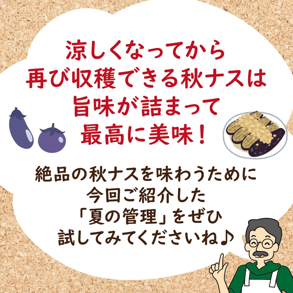 ���ʥ� �Ƥδ�����ˡ