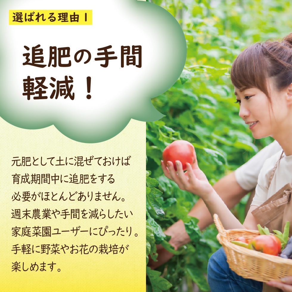 �֤���ڤβ������� ����餺