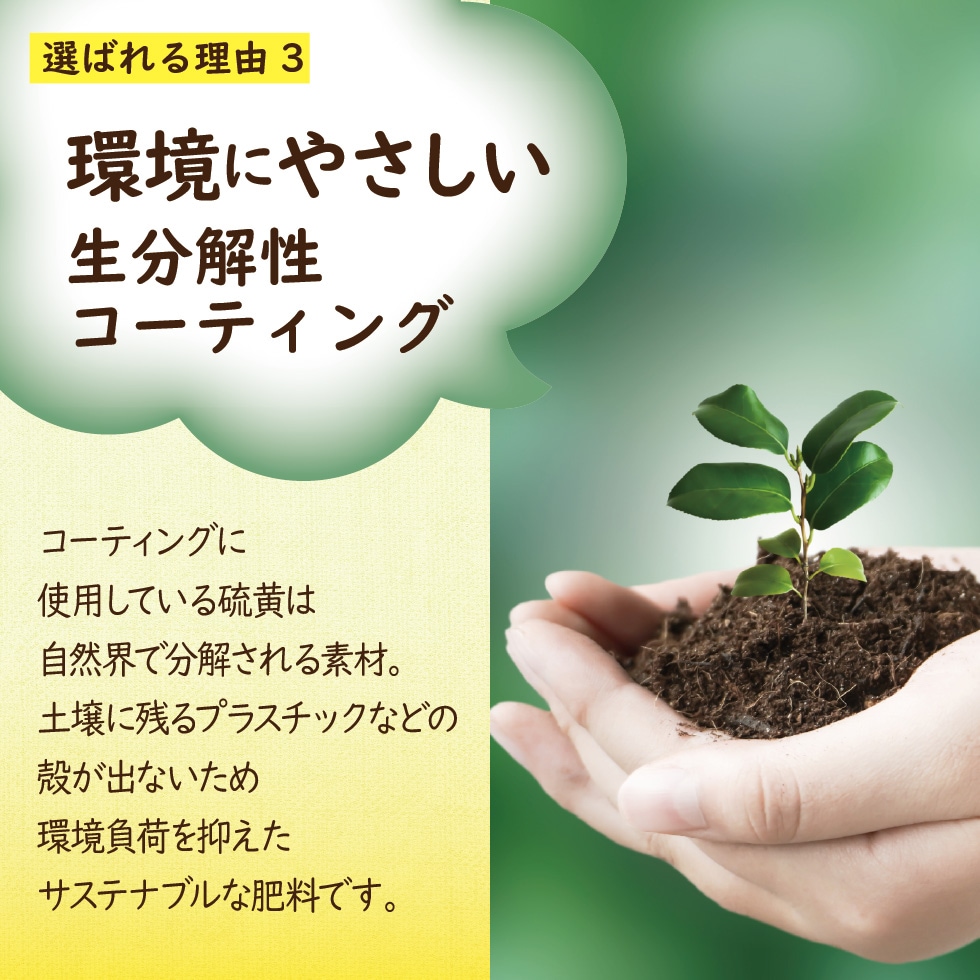 �֤���ڤβ������� ����餺
