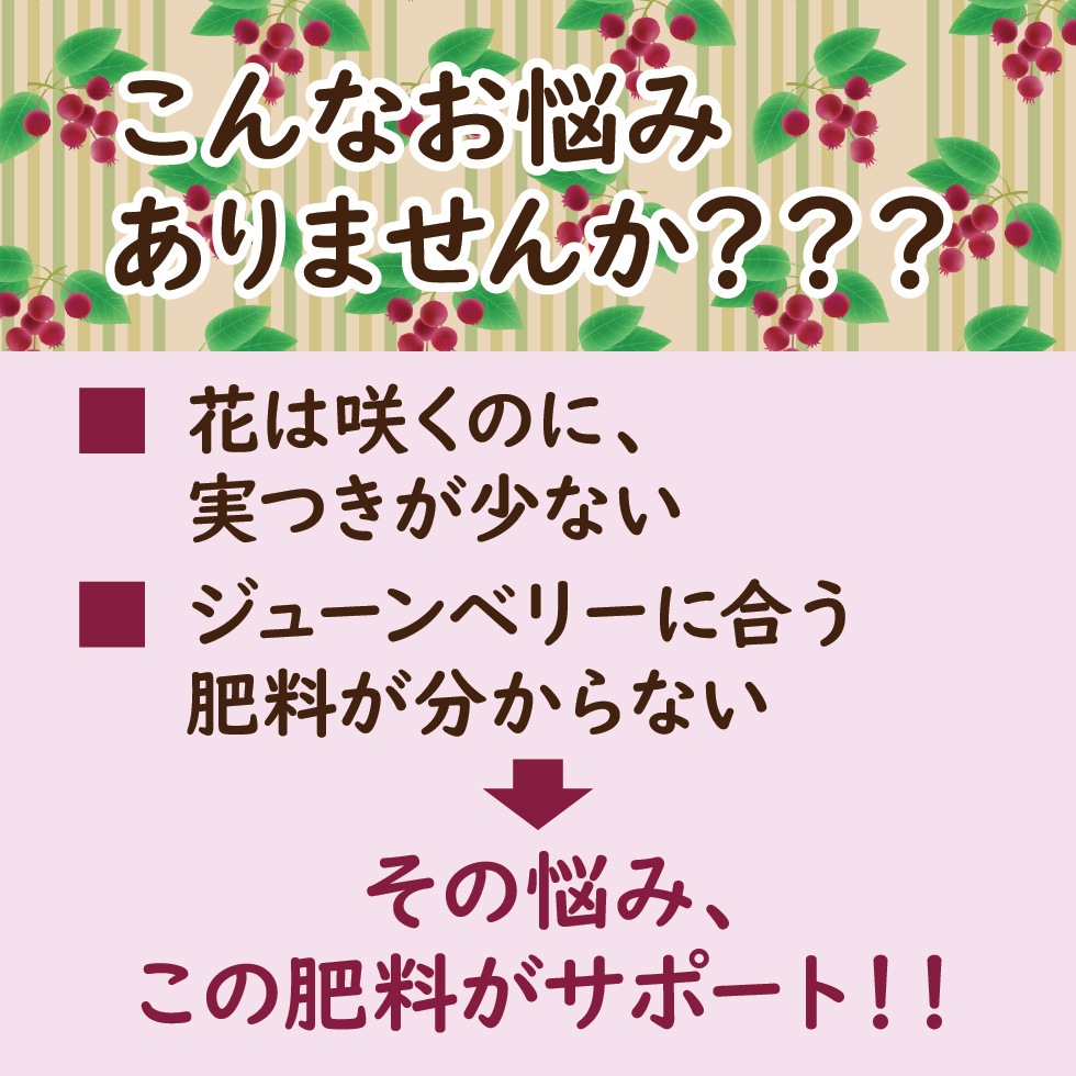 ����ǥ��塼��٥꡼���Ƥ褦���