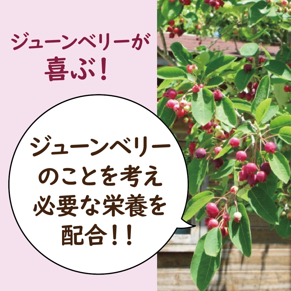 ����ǥ��塼��٥꡼���Ƥ褦���