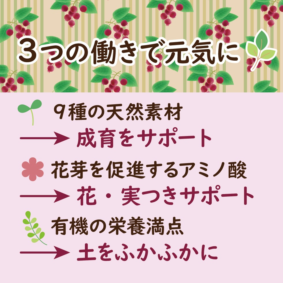 ����ǥ��塼��٥꡼���Ƥ褦���