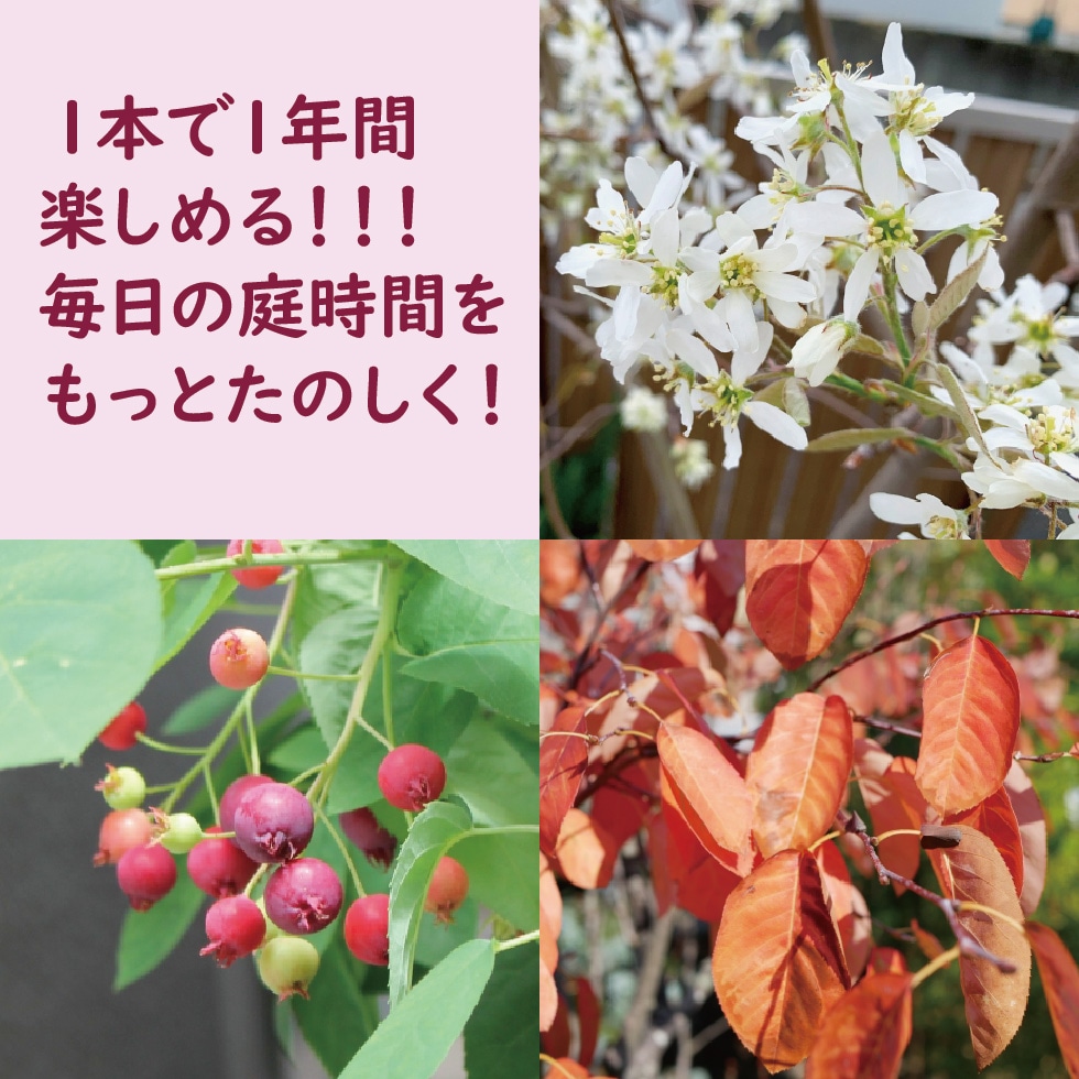 ����ǥ��塼��٥꡼���Ƥ褦���