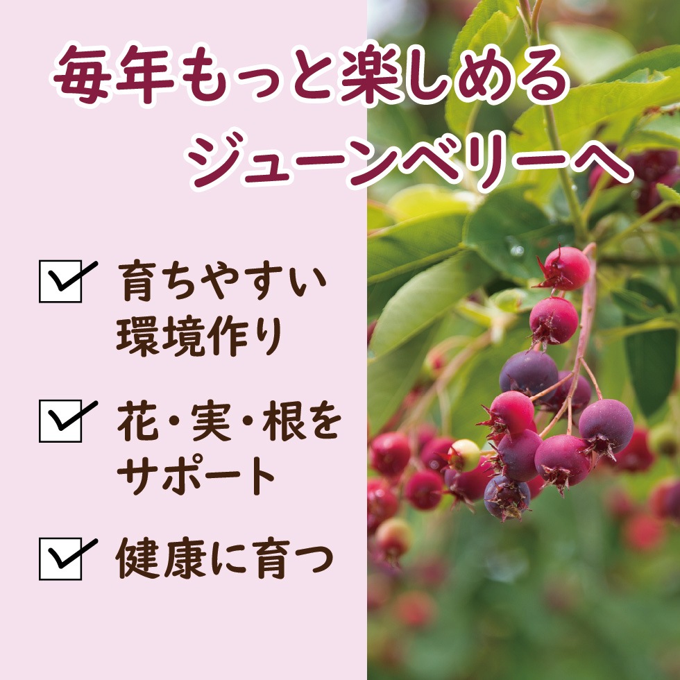 ����ǥ��塼��٥꡼���Ƥ褦���