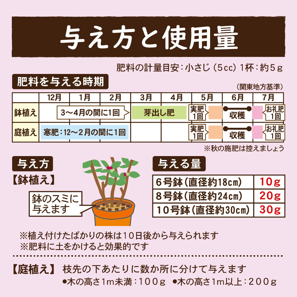���塼��٥꡼�������λȤ���