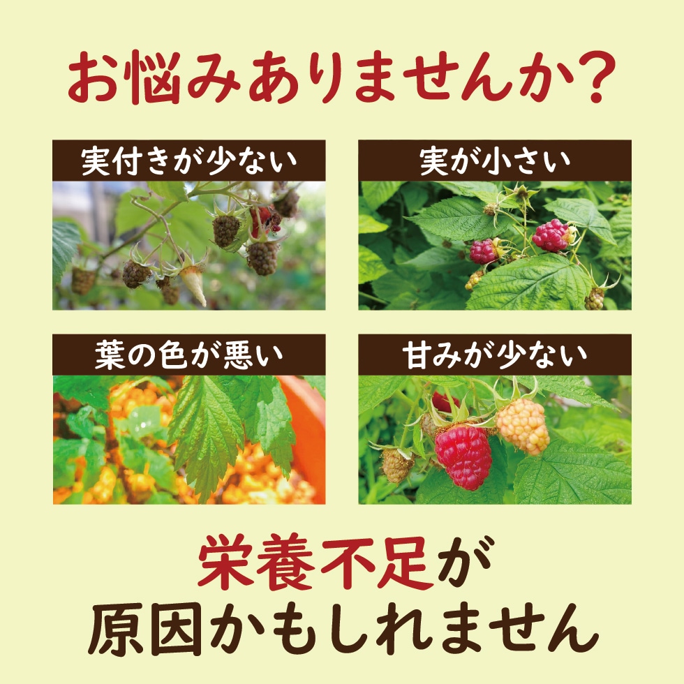 ����ǥ饺�٥꡼���Ƥ褦���