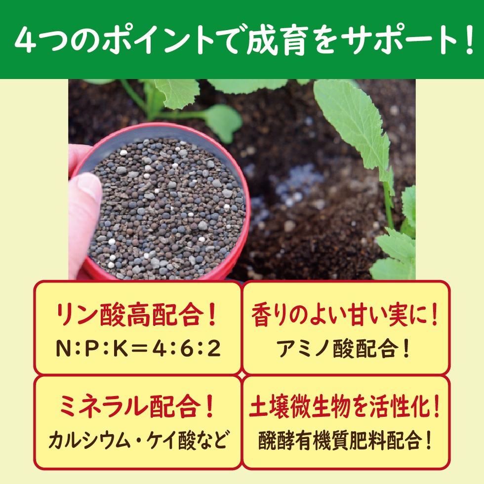 ����ǥ饺�٥꡼���Ƥ褦���