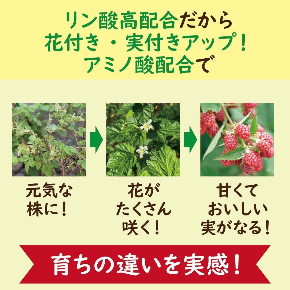 ����ǥ饺�٥꡼���Ƥ褦���
