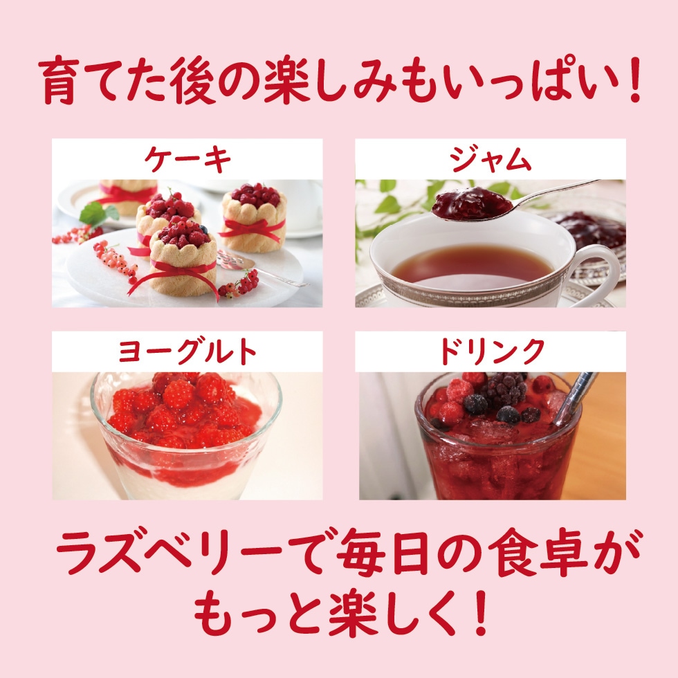 ����ǥ饺�٥꡼���Ƥ褦���