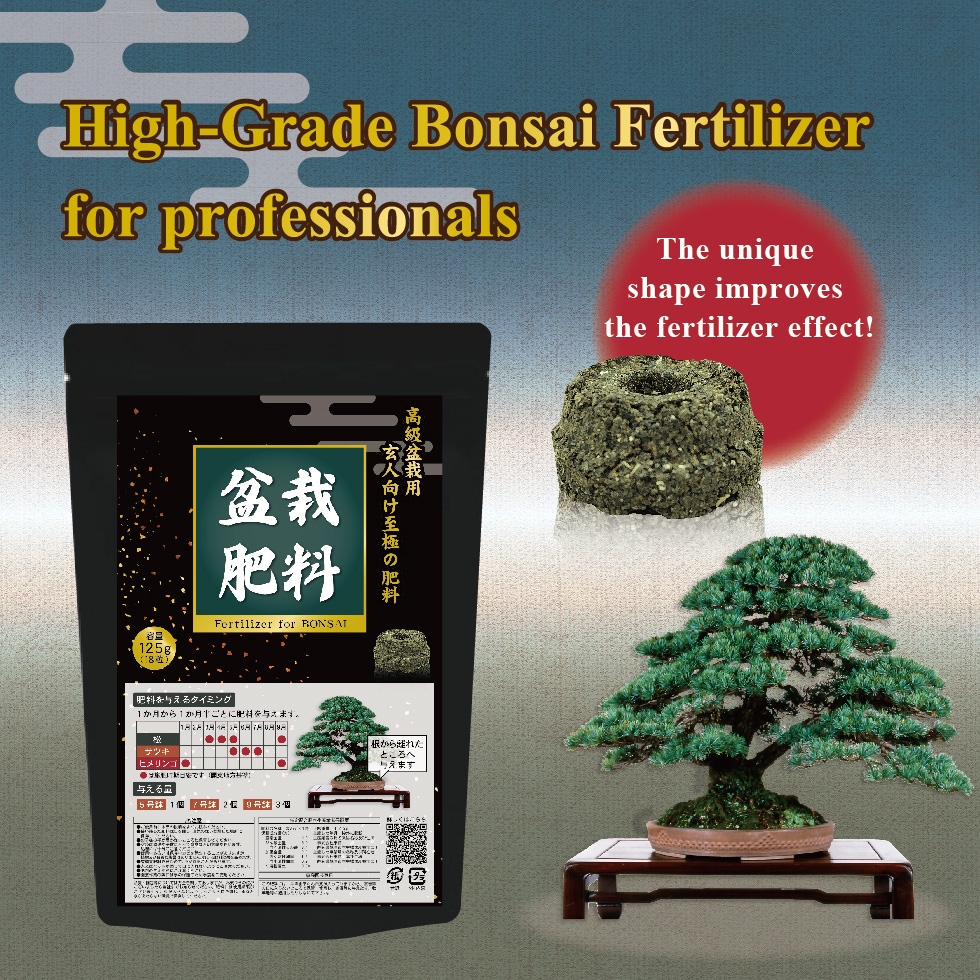 https://gigaplus.makeshop.jp/tournesol1/seihin/pokkiri_bonsai/lp_bonsai_English-01.jpg