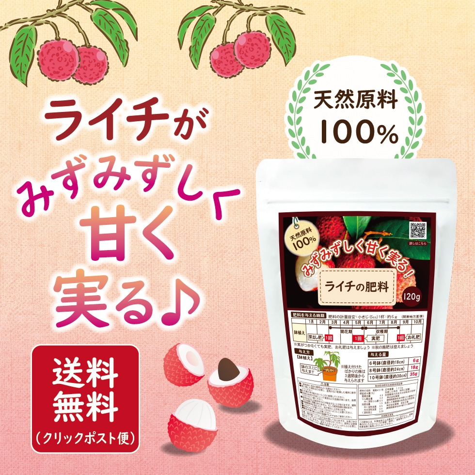 �饤��������