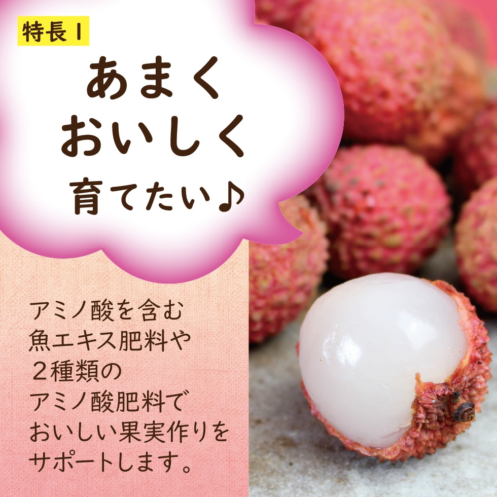 �饤��������