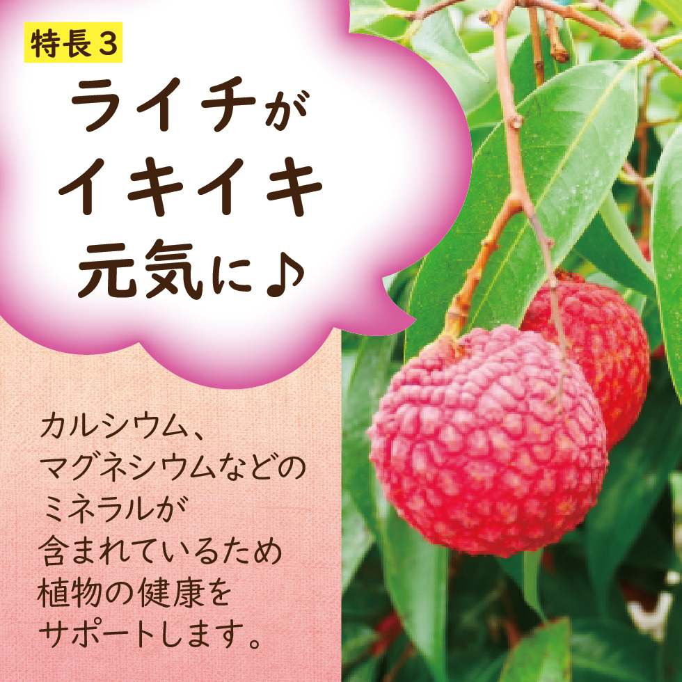 �饤��������