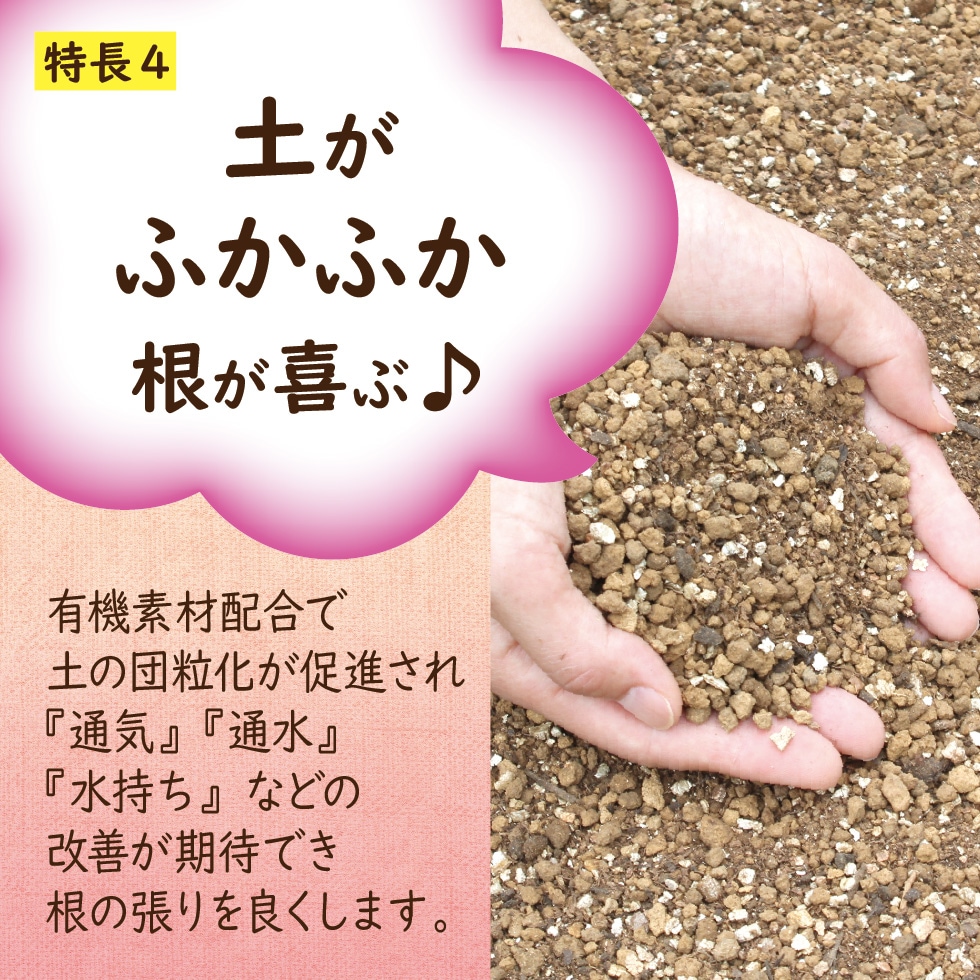 �饤��������