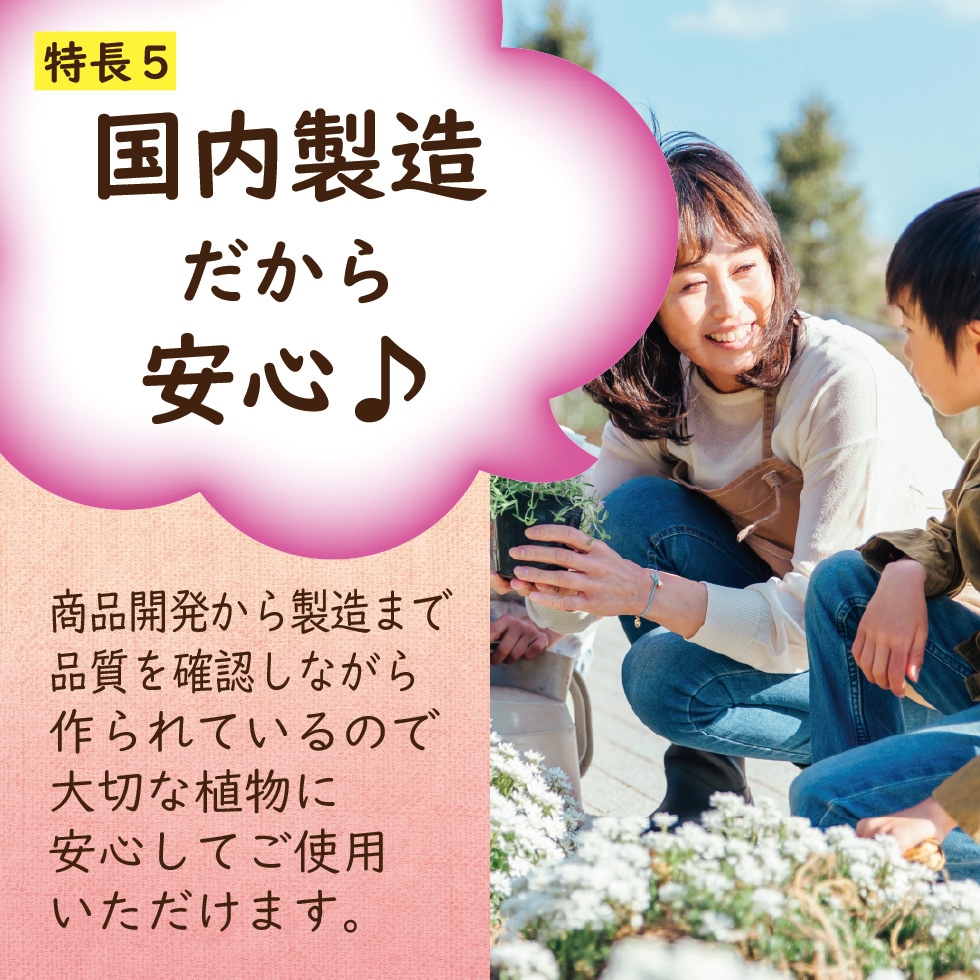 �饤��������