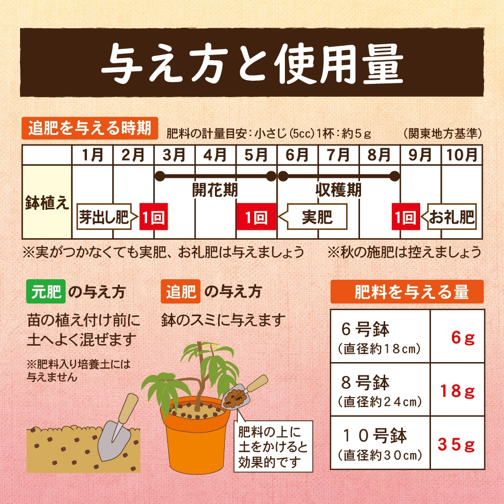 �饤��������
