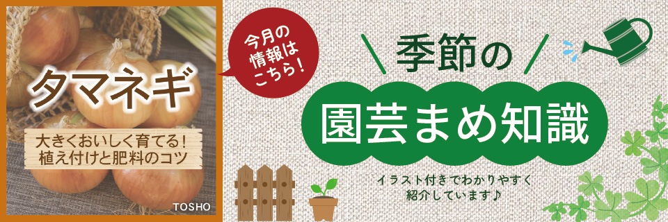 ��ݤޤ��μ�