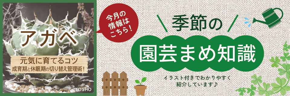 ��ݤޤ��μ�