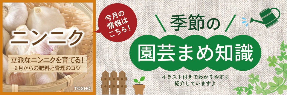 ��ݤޤ��μ�