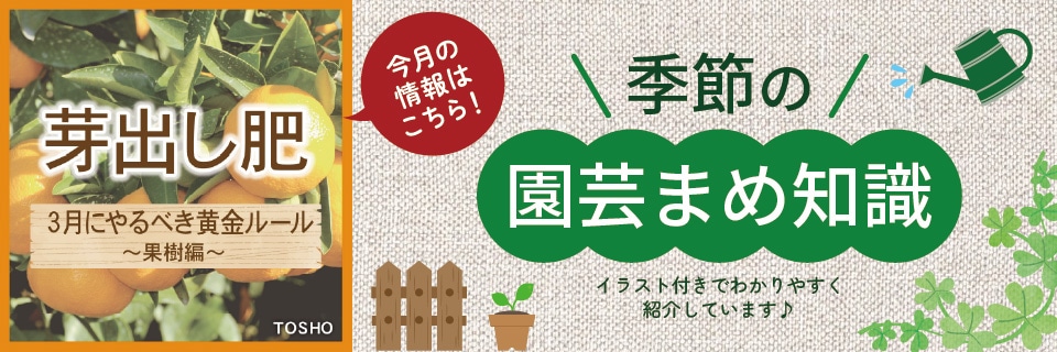 ��ݤޤ��μ�