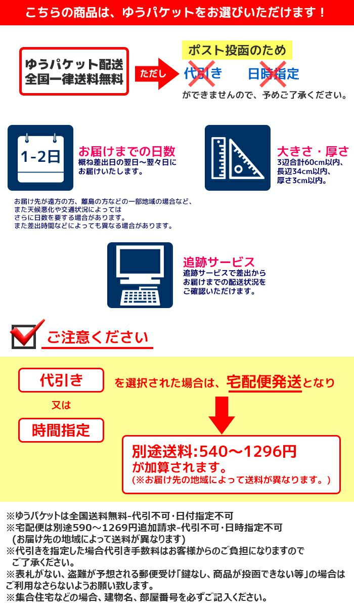 LEDナンバープレート 字光式 ナンバープレート フレーム 高輝度 12V/24V兼用 全面発光 1年保証