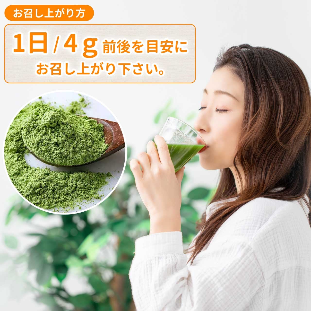 純国産 ケール青汁 の販売 | 【NICHIGA（ニチガ）】 ☆エコ系洗剤