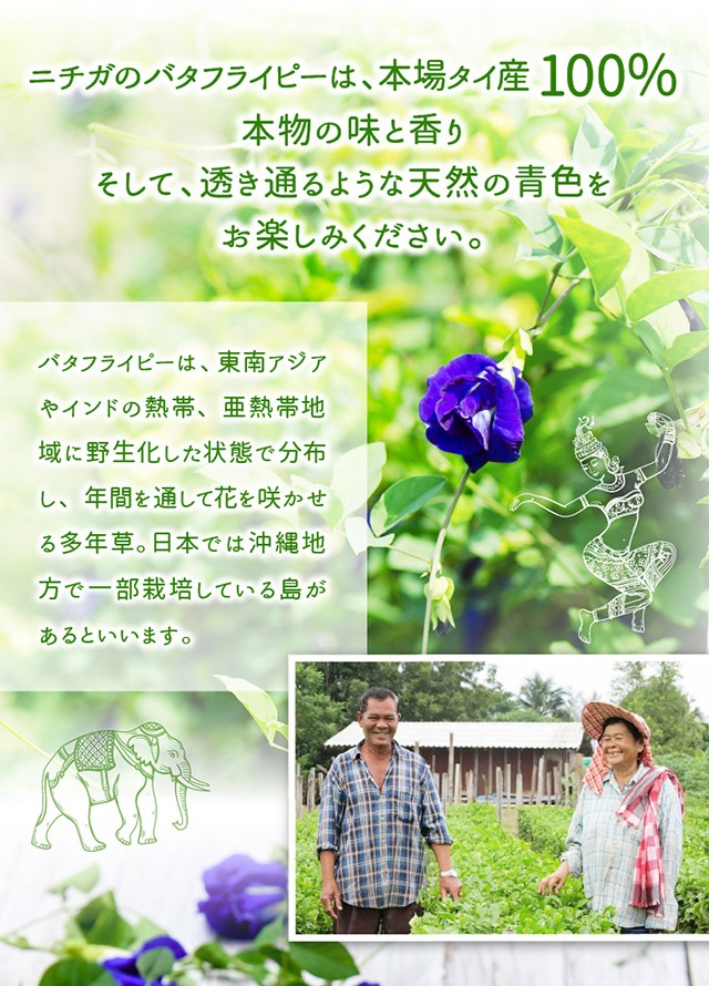 バタフライピー の販売 | 【NICHIGA（ニチガ）】 ☆エコ系洗剤