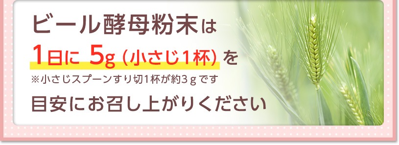 国産ビール酵母粉末 の販売 | 【NICHIGA（ニチガ）】 ☆エコ系洗剤、サプリメント、食品、食品添加物のオンラインショップ☆