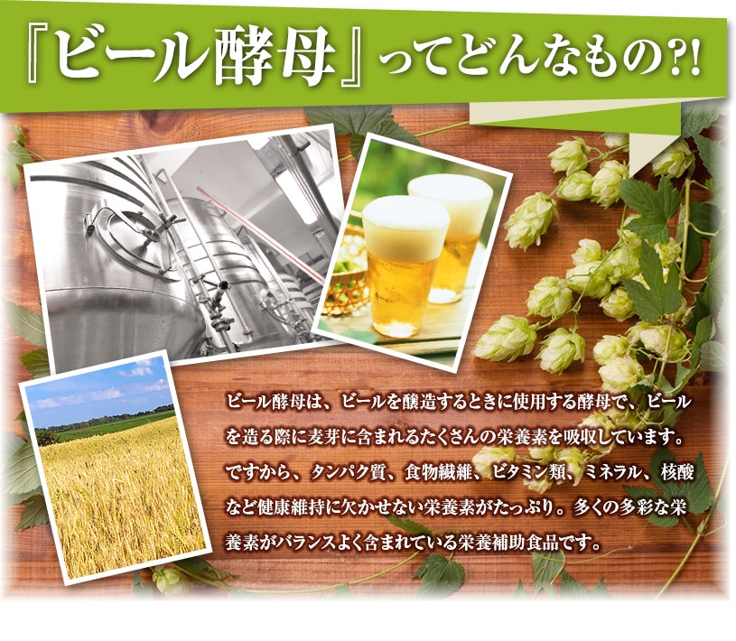 国産ビール酵母粉末 の販売 | 【NICHIGA（ニチガ）】 ☆エコ系洗剤、サプリメント、食品、食品添加物のオンラインショップ☆