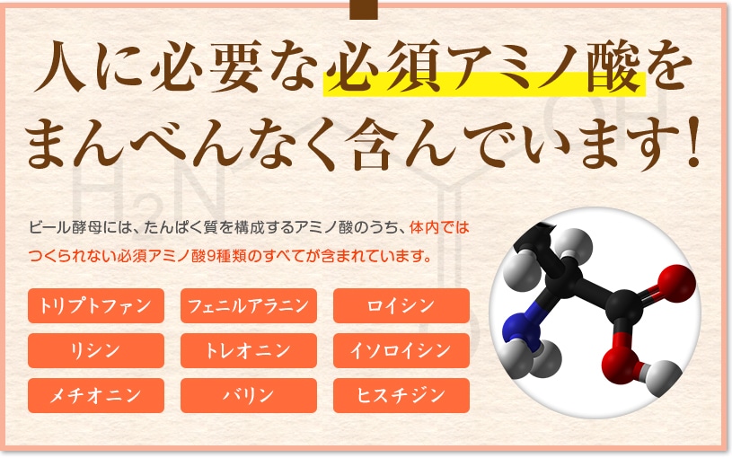 国産ビール酵母粉末 の販売 | 【NICHIGA（ニチガ）】 ☆エコ系洗剤、サプリメント、食品、食品添加物のオンラインショップ☆